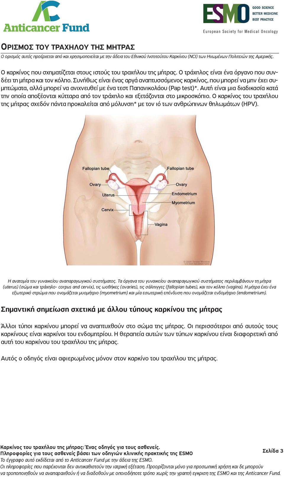 Συνήθως είναι ένας αργά αναπτυσσόμενος καρκίνος, που μπορεί να μην έχει συμπτώματα, αλλά μπορεί να ανιχνευθεί με ένα τεστ Παπανικολάου (Pap test)*.