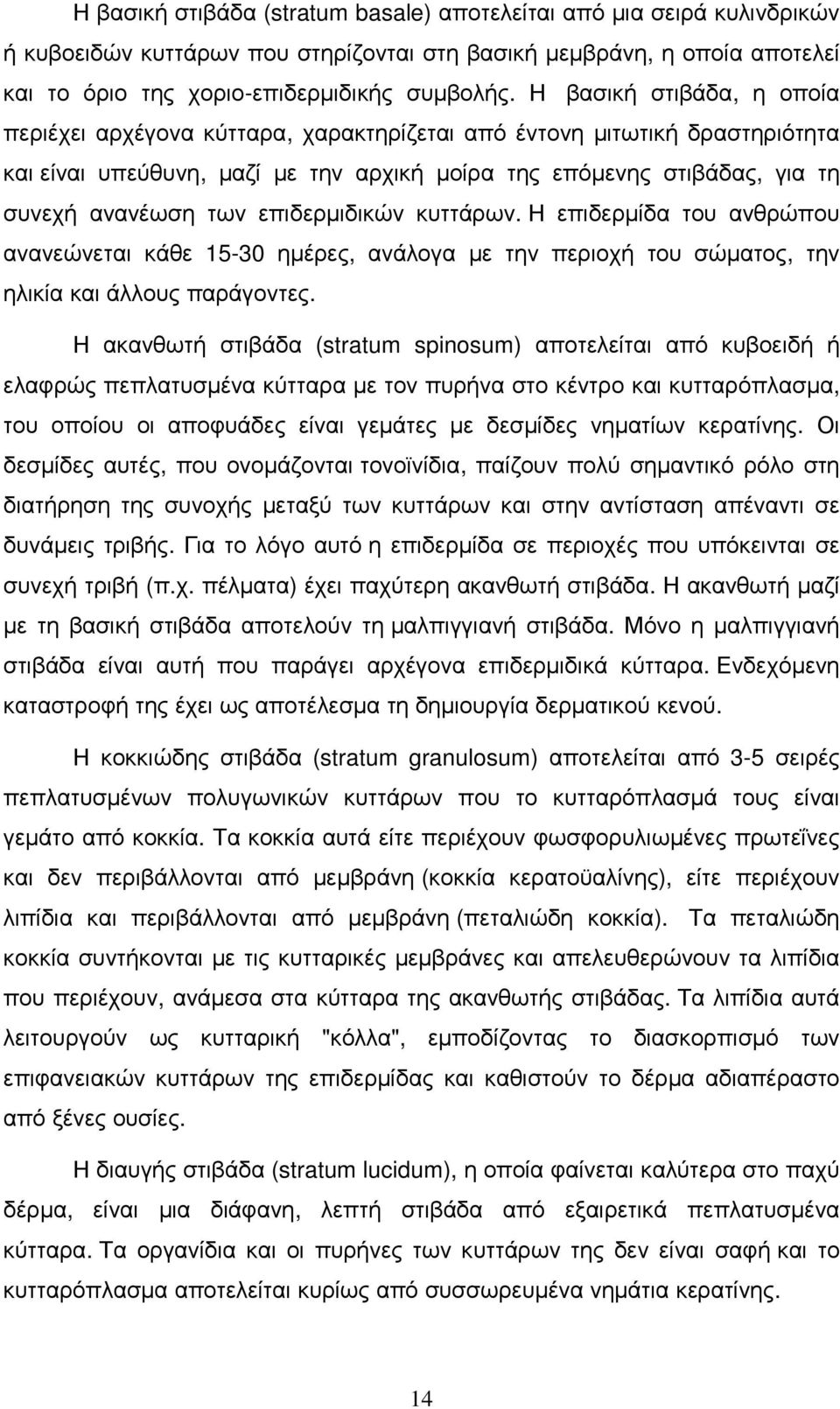 επιδερµιδικών κυττάρων. Η επιδερµίδα του ανθρώπου ανανεώνεται κάθε 15-30 ηµέρες, ανάλογα µε την περιοχή του σώµατος, την ηλικία και άλλους παράγοντες.