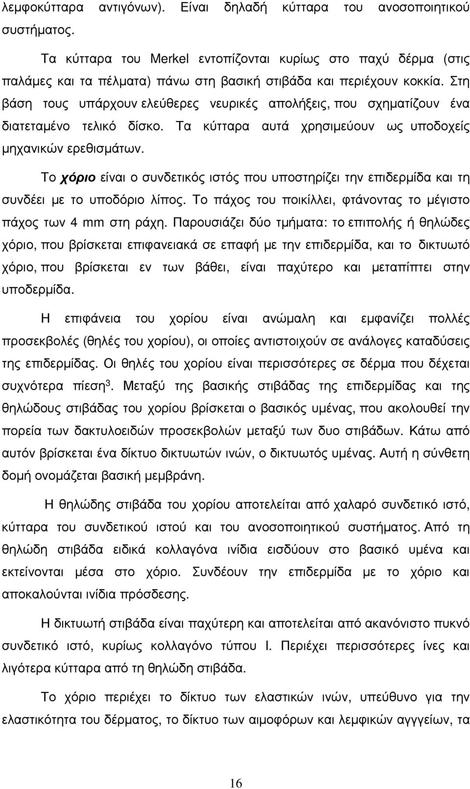 Στη βάση τους υπάρχουν ελεύθερες νευρικές απολήξεις, που σχηµατίζουν ένα διατεταµένο τελικό δίσκο. Τα κύτταρα αυτά χρησιµεύουν ως υποδοχείς µηχανικών ερεθισµάτων.