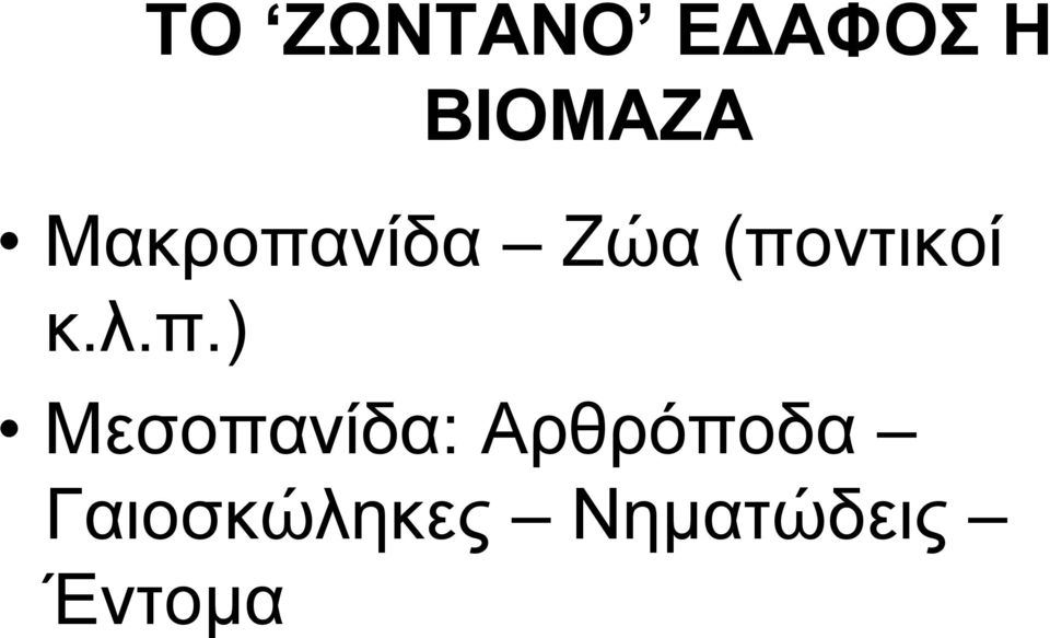 λ.π.) Μεσοπανίδα: Αρθρόποδα