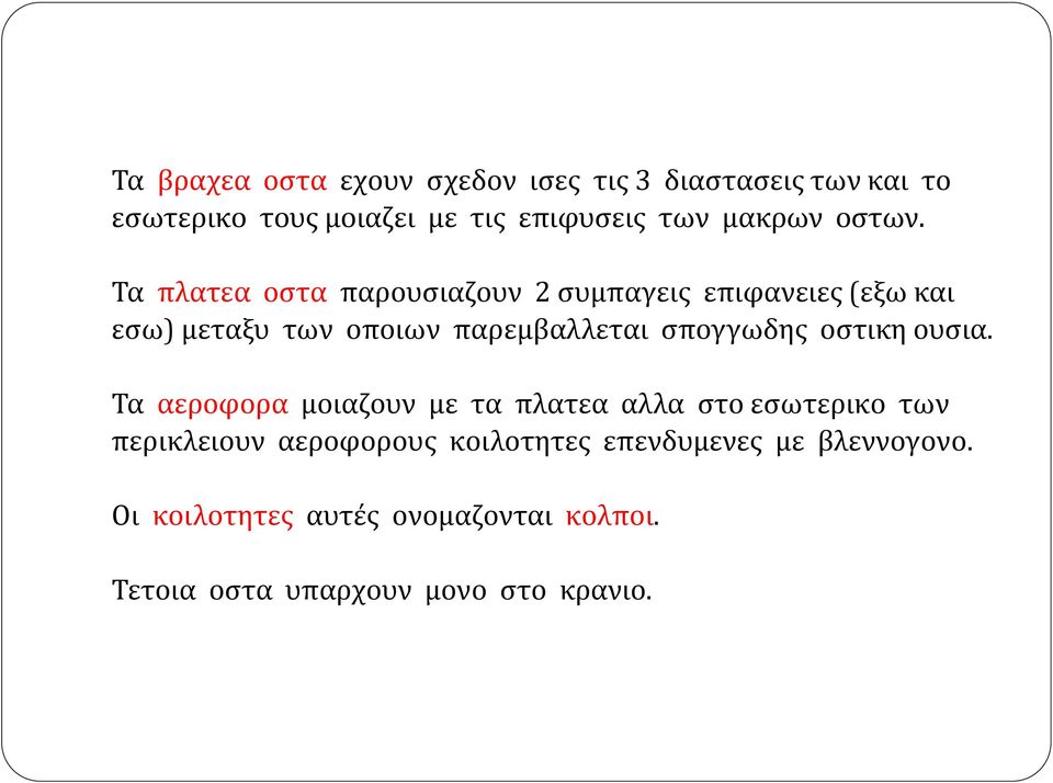 Τα πλατεα οστα παρουσιαζουν 2 συμπαγεις επιφανειες (εξω και εσω) μεταξυ των οποιων παρεμβαλλεται σπογγωδης