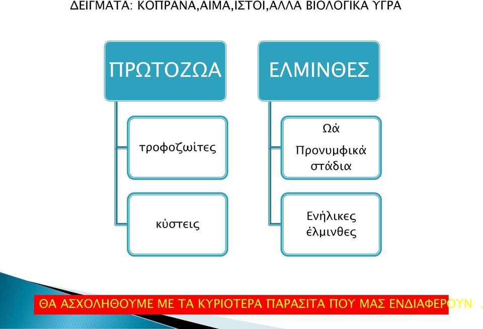 Προνυμφικά στάδια κύστεις Ενήλικες έλμινθες ΘΑ