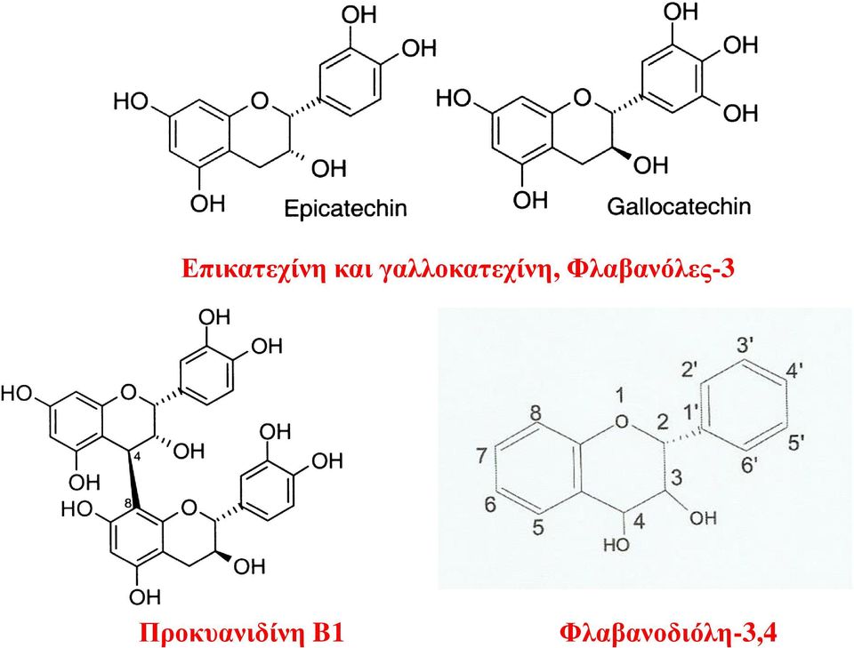 Φλαβανόλες-3