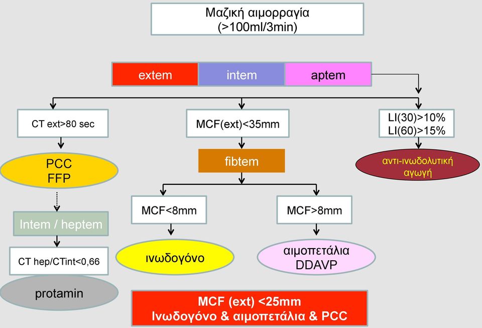 αγωγή Intem / heptem CT hep/ctint<0,66 MCF<8mm ινωδογόνο MCF>8mm