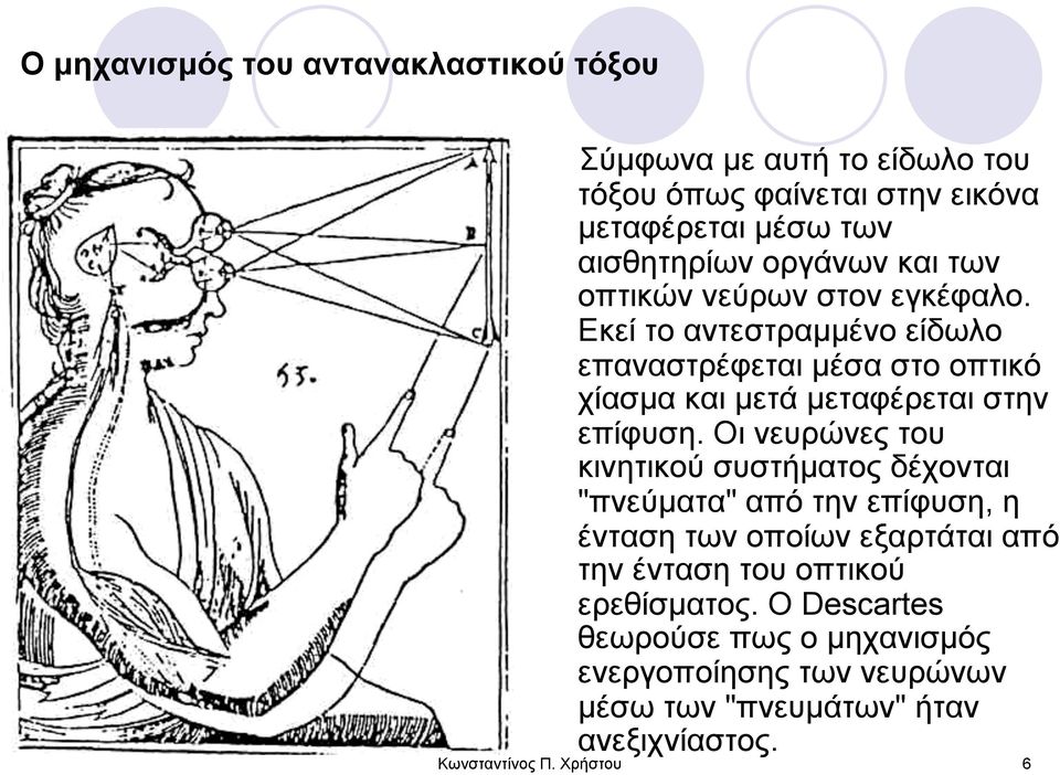 Εκεί το αντεστραµµένο είδωλο επαναστρέφεται µέσα στο οπτικό χίασµα και µετά µεταφέρεται στην επίφυση.