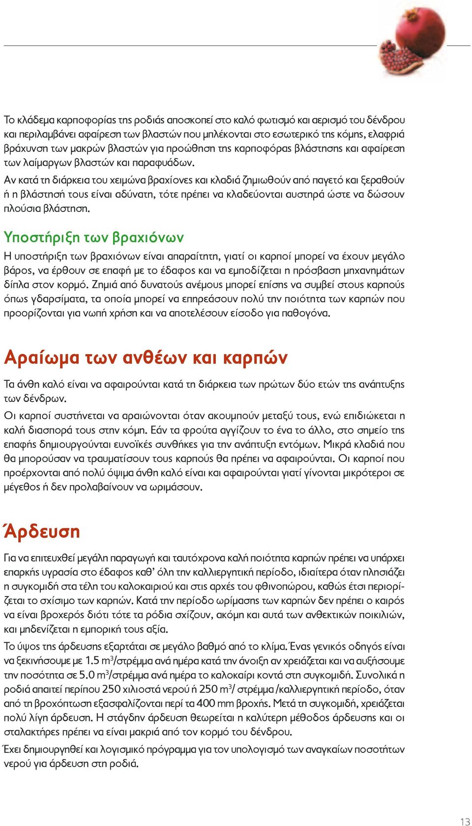 Αν κατά τη διάρκεια του χειμώνα βραχίονες και κλαδιά ζημιωθούν από παγετό και ξεραθούν ή η βλάστησή τους είναι αδύνατη, τότε πρέπει να κλαδεύονται αυστηρά ώστε να δώσουν πλούσια βλάστηση.
