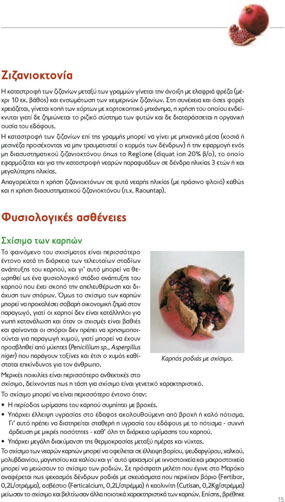 οργανική ουσία του εδάφους.