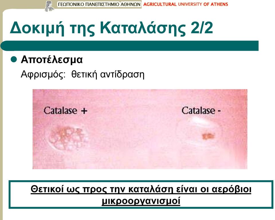 αντίδραση Θετικοί ως προς την