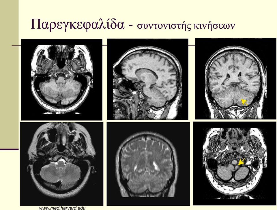 κινήσεων www.