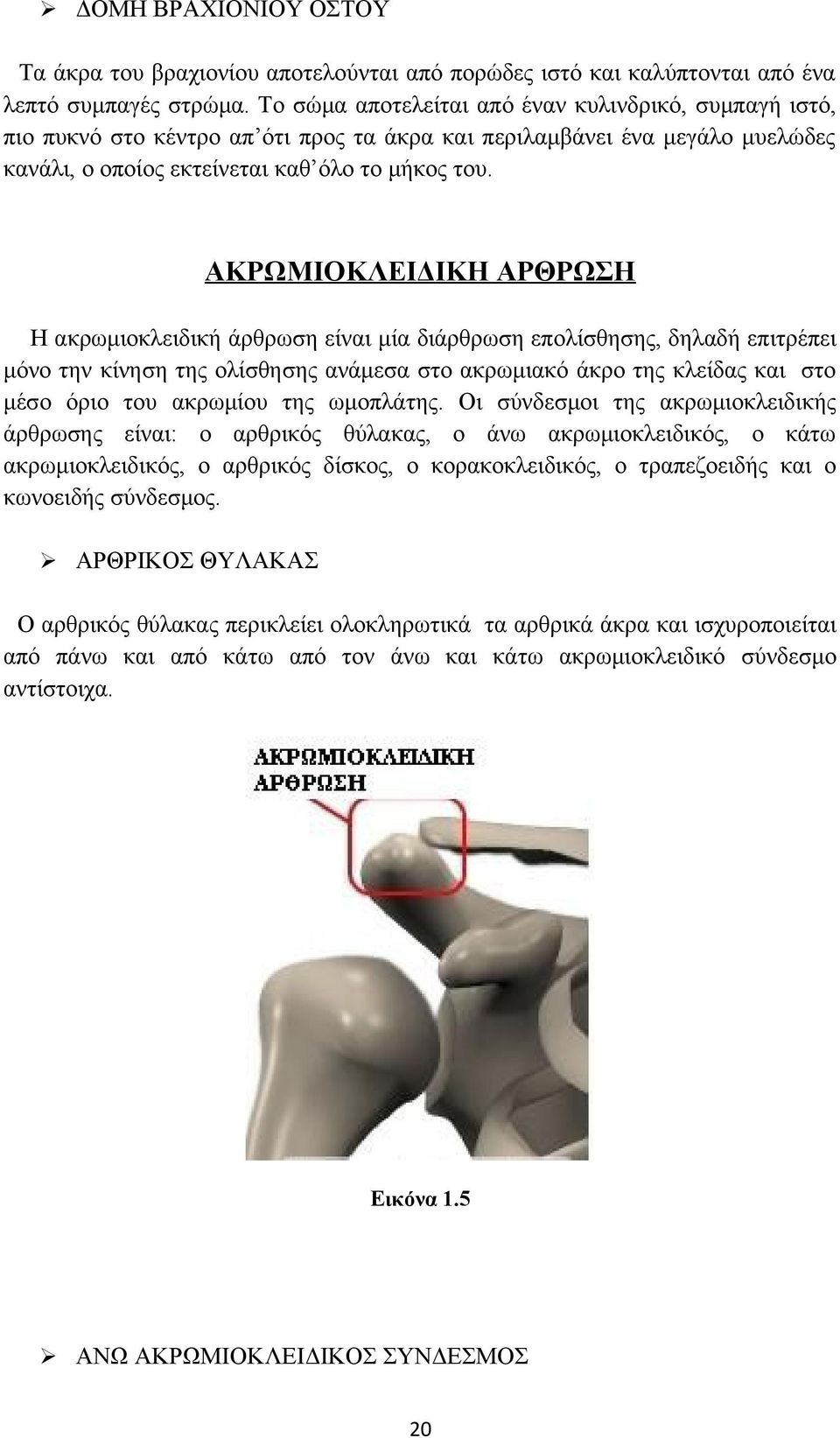 ΑΚΡΩΜΙΟΚΛΕΙΔΙΚΗ ΑΡΘΡΩΣΗ Η ακρωμιοκλειδική άρθρωση είναι μία διάρθρωση επολίσθησης, δηλαδή επιτρέπει μόνο την κίνηση της ολίσθησης ανάμεσα στο ακρωμιακό άκρο της κλείδας και στο μέσο όριο του ακρωμίου