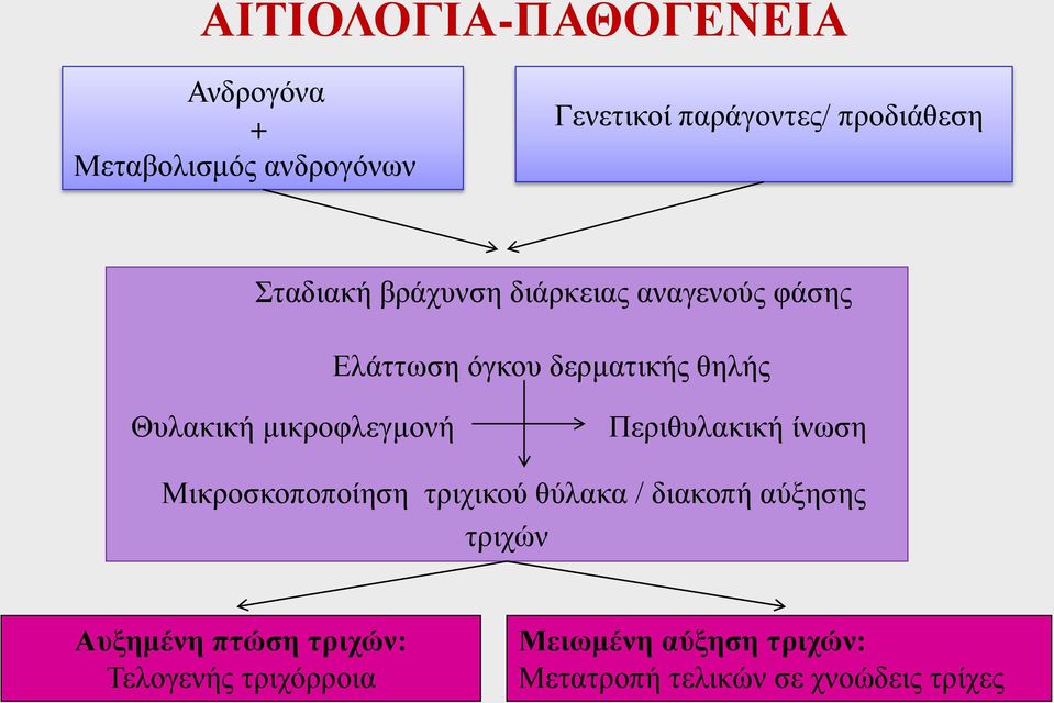 μικροφλεγμονή Περιθυλακική ίνωση Μικροσκοποποίηση τριχικού θύλακα / διακοπή αύξησης τριχών