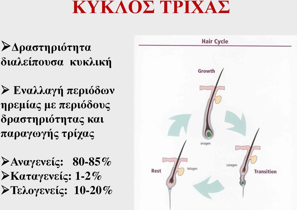 περιόδους δραστηριότητας και παραγωγής