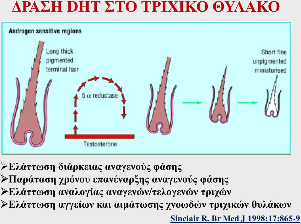 αναλογίας αναγενών/τελογενών τριχών Ελάττωση αγγείων και