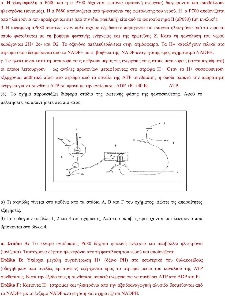 Η ιονισμένη αp680 αποτελεί έναν πολύ ισχυρό οξειδωτικό παράγοντα και αποσπά ηλεκτρόνια από το νερό το οποίο φωτολύεται με τη βοήθεια φωτεινής ενέργειας και της πρωτεΐνης Ζ.