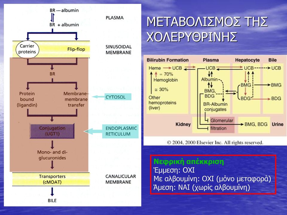 Με αλβουμίνη: OXI (μόνο