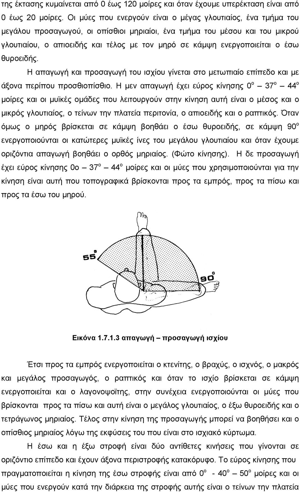 ενεργοποιείται ο έσω θυροειδής. Η απαγωγή και προσαγωγή του ισχίου γίνεται στο µετωπιαίο επίπεδο και µε άξονα περίπου προσθιοπίσθιο.