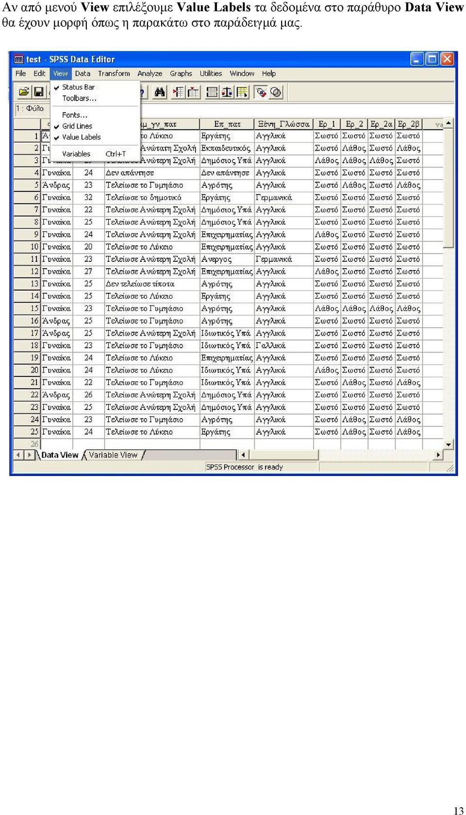 παράθυρο Data View θα έχουν