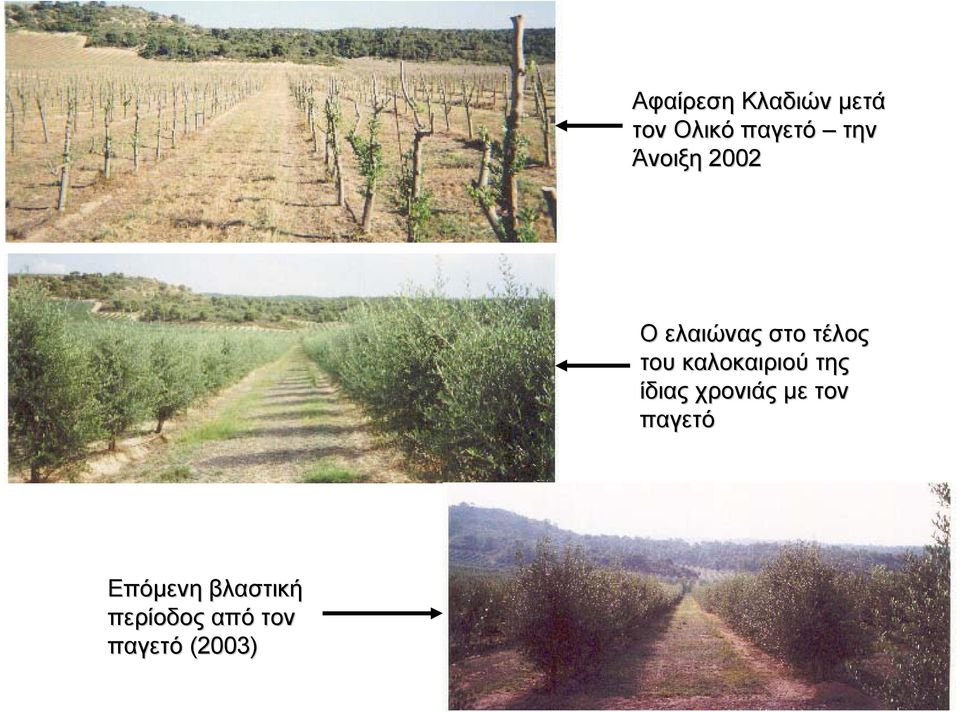 καλοκαιριού της ίδιας χρονιάς µε τον