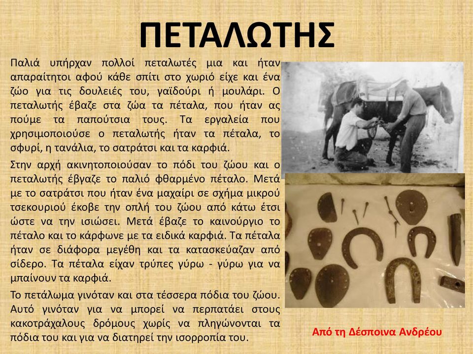 Στην αρχή ακινητοποιούσαν το πόδι του ζώου και ο πεταλωτής έβγαζε το παλιό φθαρμένο πέταλο.