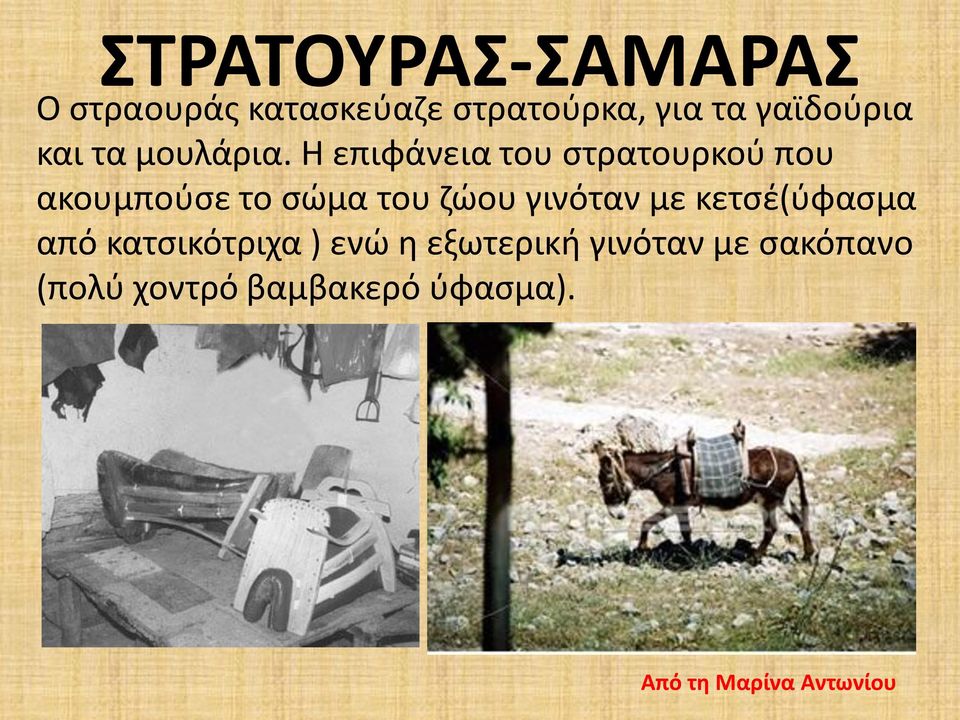 Η επιφάνεια του στρατουρκού που ακουμπούσε το σώμα του ζώου γινόταν με