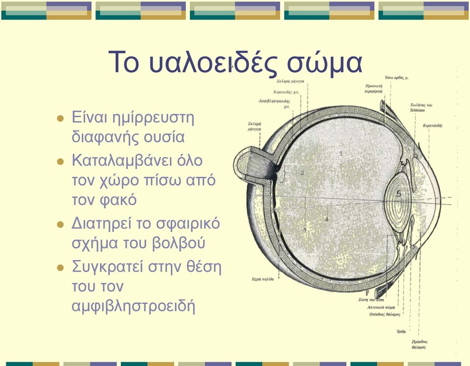 τον φακό Διατηρεί το σφαιρικό σχήμα του