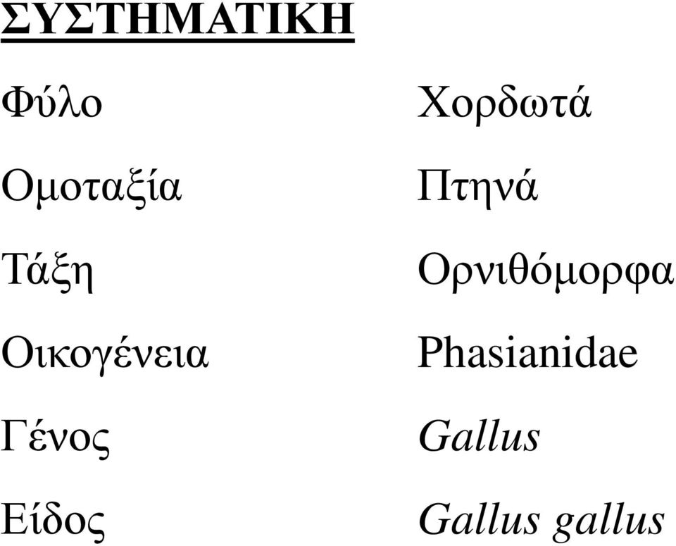 Χορδωτά Πτηνά Ορνιθόμορφα