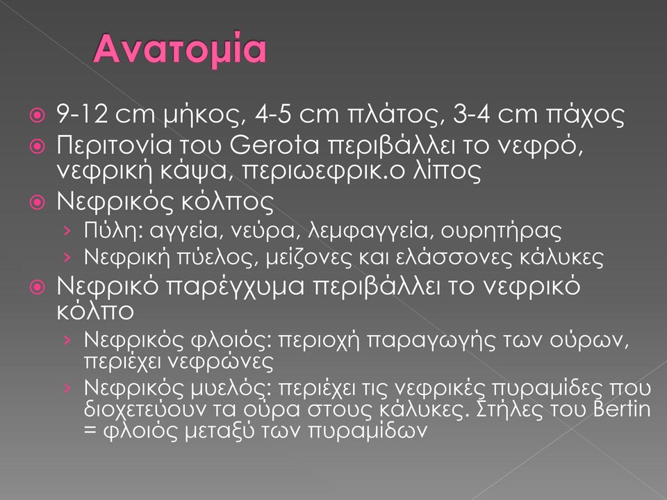 Νεφρικό παρέγχυμα περιβάλλει το νεφρικό κόλπο Νεφρικός φλοιός: περιοχή παραγωγής των ούρων, περιέχει νεφρώνες