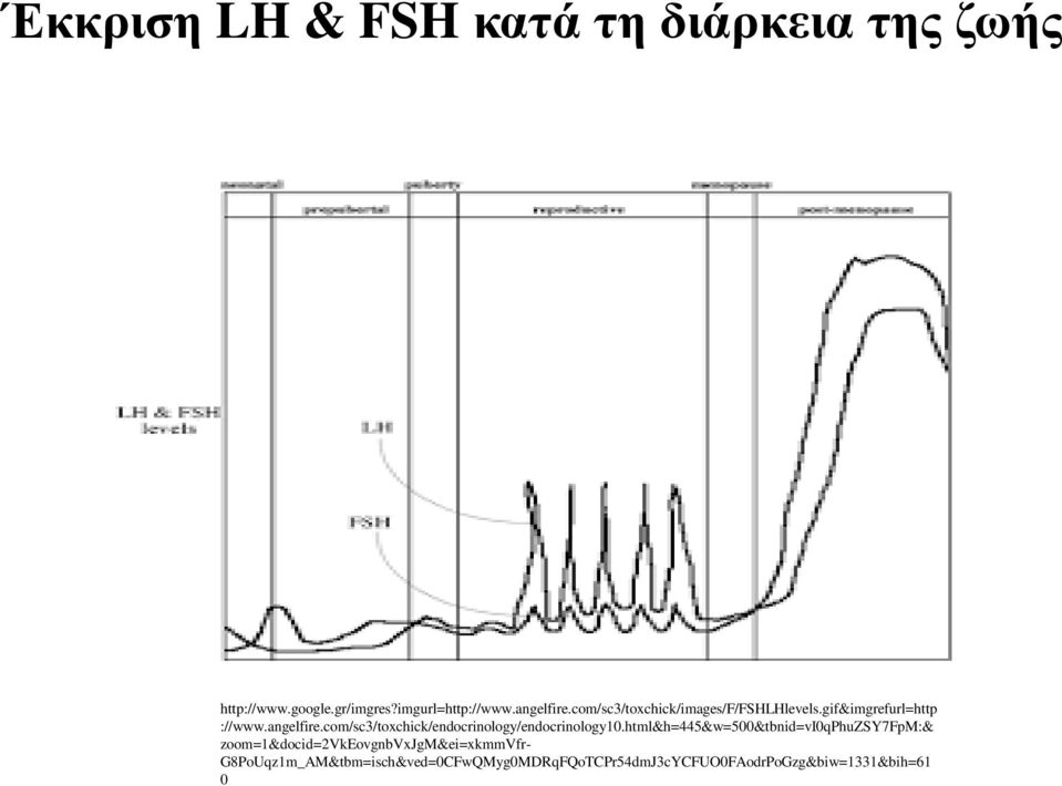 html&h=445&w=500&tbnid=vi0qphuzsy7fpm:& zoom=1&docid=2vkeovgnbvxjgm&ei=xkmmvfr-