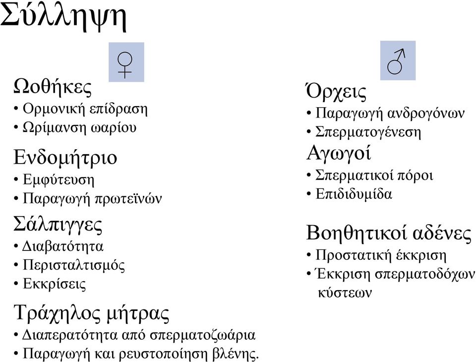 σπερματοζωάρια Παραγωγή και ρευστοποίηση βλένης.