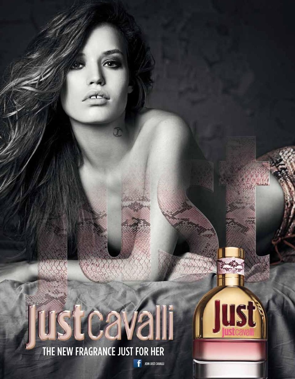 S 11 THE NEW FRAGRANCE