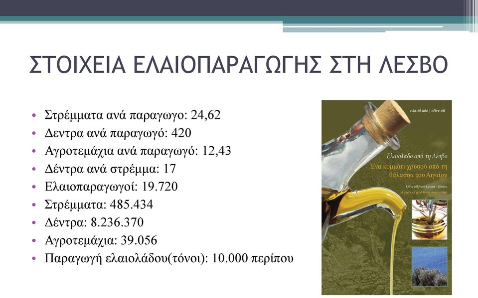 ανά στρέμμα: 17 Ελαιοπαραγωγοί: 19.720 Στρέμματα: 485.