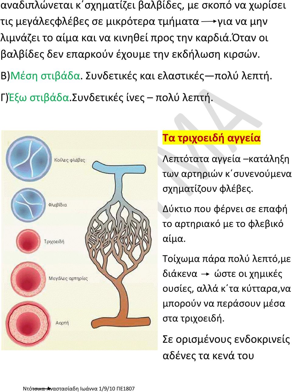 Τα τριχοειδή αγγεία Λεπτότατα αγγεία κατάληξη των αρτηριών κ συνενούμενα σχηματίζουν φλέβες. Δύκτιο που φέρνει σε επαφή το αρτηριακό με το φλεβικό αίμα.