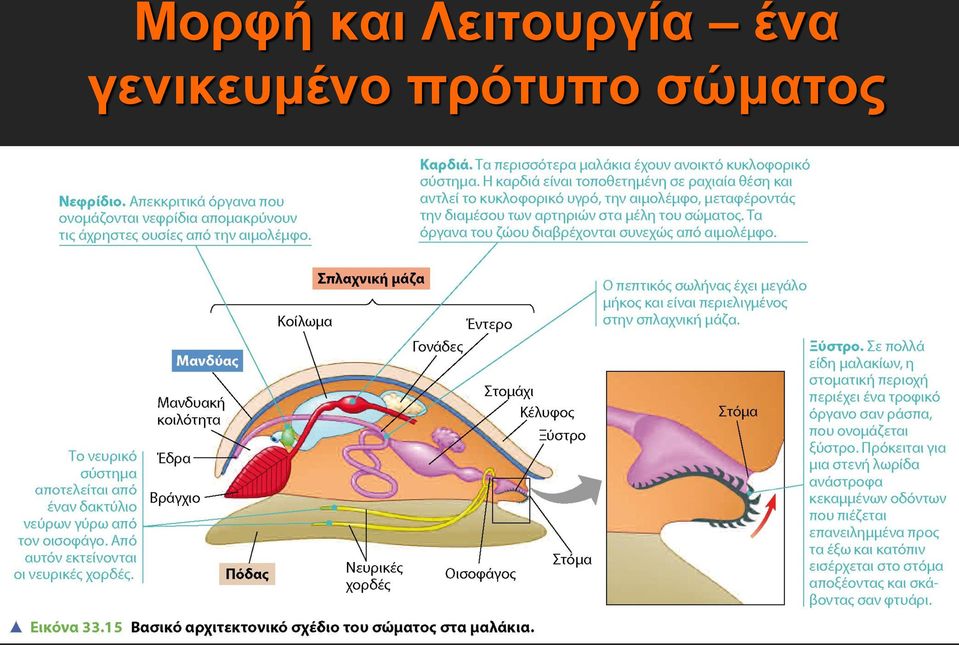 ένα