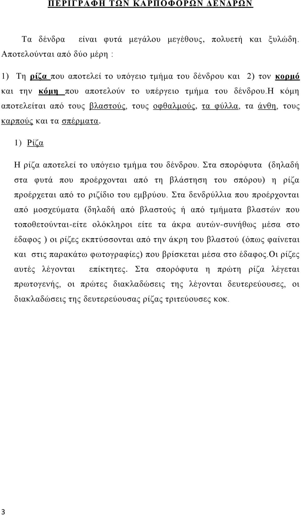 η κόμη αποτελείται από τους βλαστούς, τους οφθαλμούς, τα φύλλα, τα άνθη, τους καρπούς και τα σπέρματα. 1) Ρίζα Η ρίζα αποτελεί το υπόγειο τμήμα του δένδρου.
