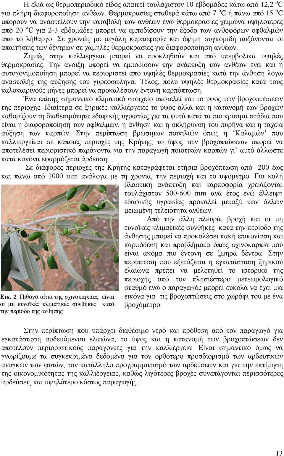 των ανθοφόρων οφθαλµών από το λήθαργο. Σε χρονιές µε µεγάλη καρποφορία και όψιµη συγκοµιδή αυξάνονται οι απαιτήσεις των δέντρων σε χαµηλές θερµοκρασίες για διαφοροποίηση ανθέων.