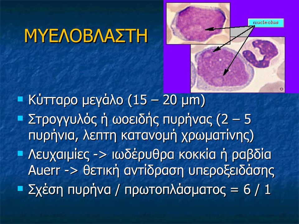 Λευχαιμίες -> ιωδέρυθρα κοκκία ή ραβδία Auerr -> θετική