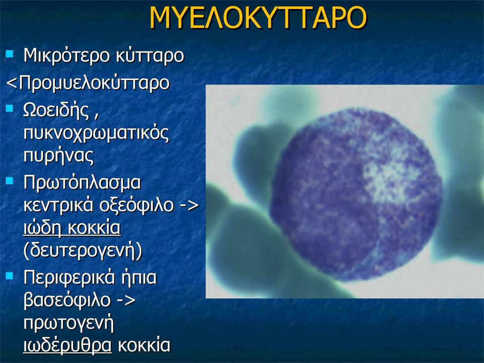 κεντρικά οξεόφιλο -> ιώδη κοκκία (δευτερογενή)
