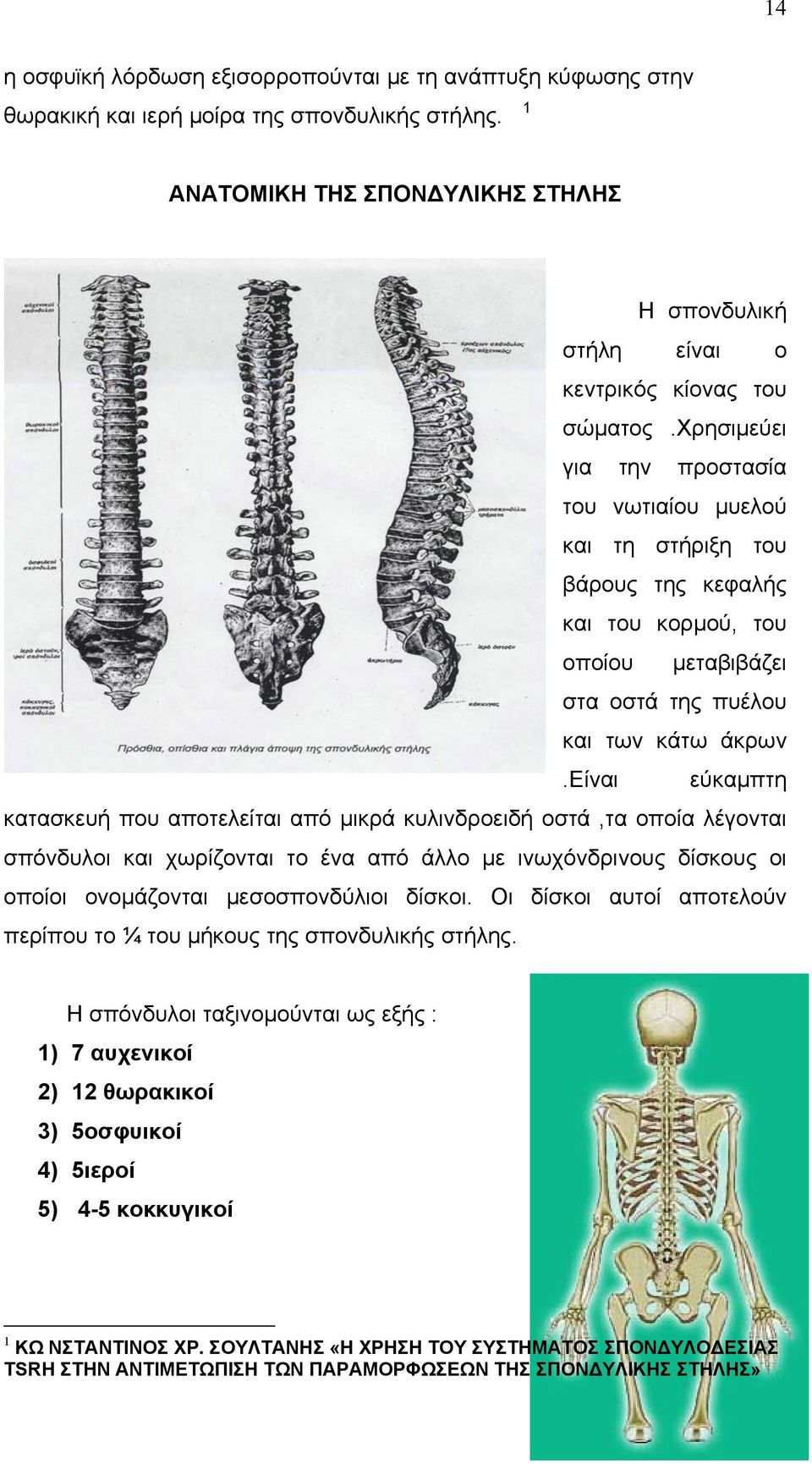 χρησιμεύει για την προστασία του νωτιαίου μυελού και τη στήριξη του βάρους της κεφαλής και του κορμού, του οποίου μεταβιβάζει στα οστά της πυέλου και των κάτω άκρων.