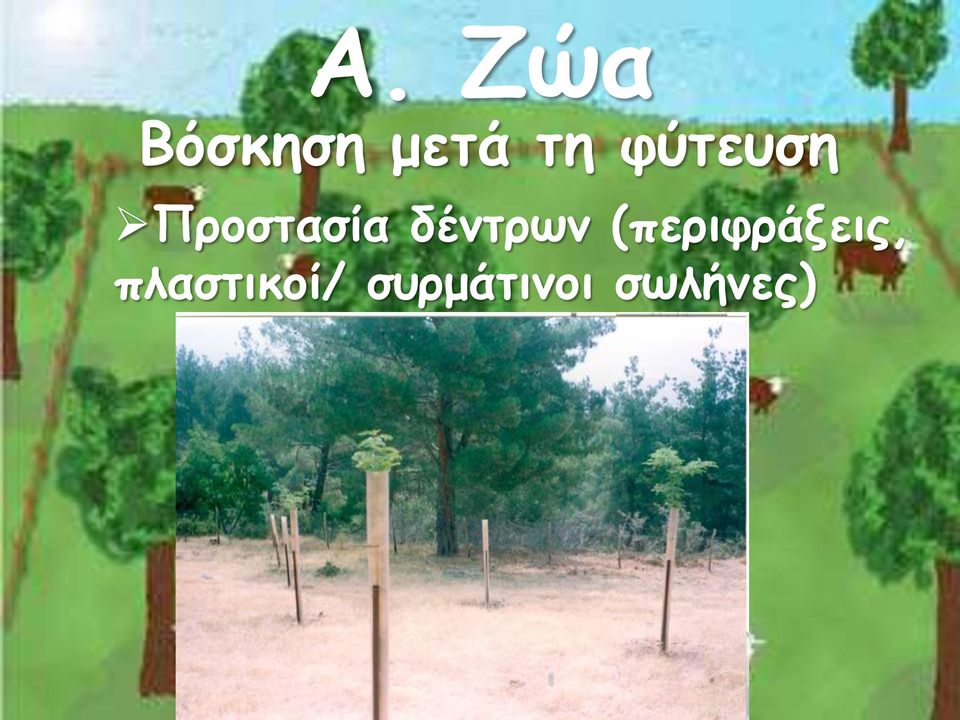 δέντρων (περιφράξεις,