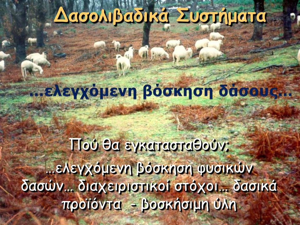 βόσκηση φυσικών δασών
