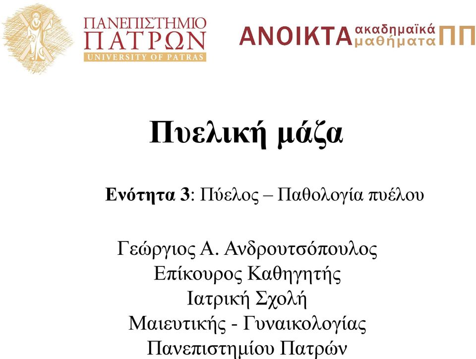 Ανδρουτσόπουλος Επίκουρος Καθηγητής