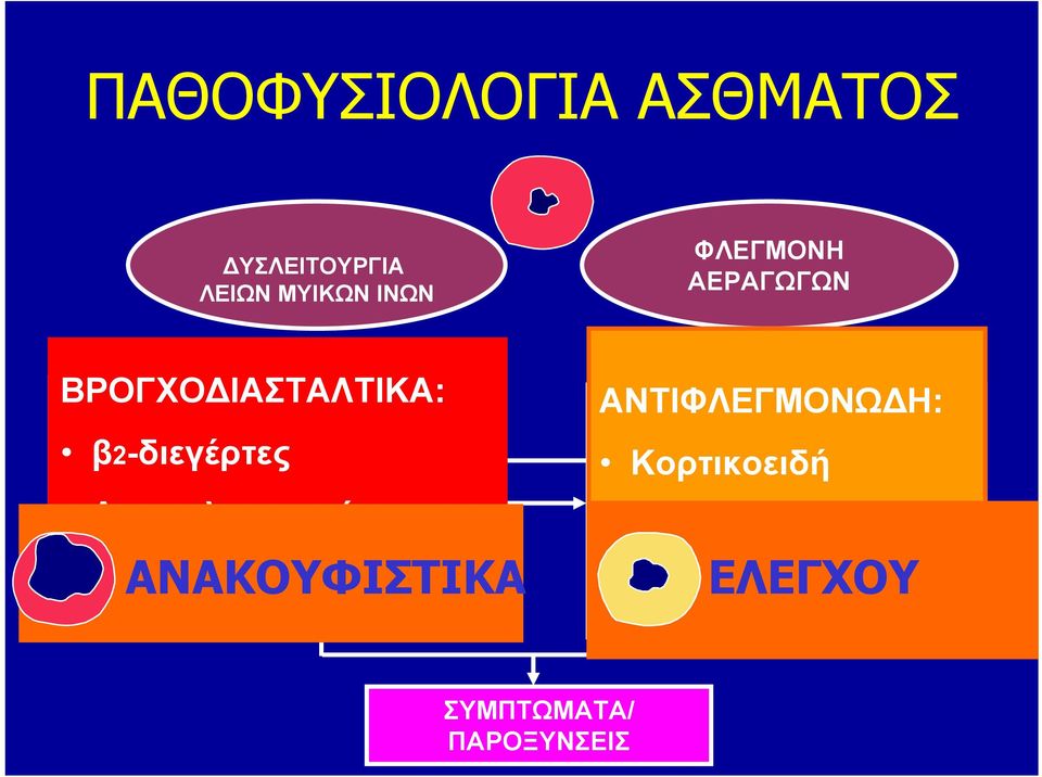 Αντιχολινεργικά ANAKOYΦΙΣΤΙΚΑ Θεοφυλλίνη ΑΝΤΙΦΛΕΓΜΟΝΩΔΗ: Ενεργοποίηση/ Διήθηση φλεγμονωδών κυττάρων