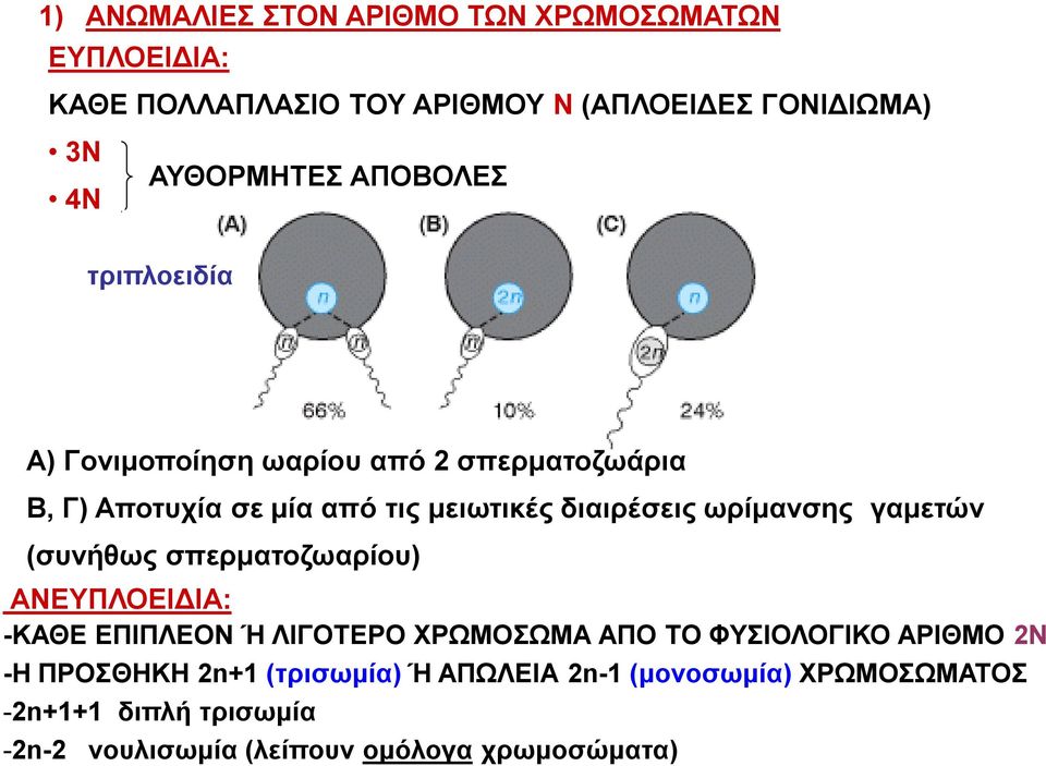 ωρίμανσης γαμετών (συνήθως σπερματοζωαρίου) ΑΝΕΥΠΛΟΕΙΔΙΑ: -ΚΑΘΕ ΕΠΙΠΛΕΟΝ Ή ΛΙΓΟΤΕΡΟ ΧΡΩΜΟΣΩΜΑ ΑΠΟ ΤΟ ΦΥΣΙΟΛΟΓΙΚΟ ΑΡΙΘΜΟ 2Ν