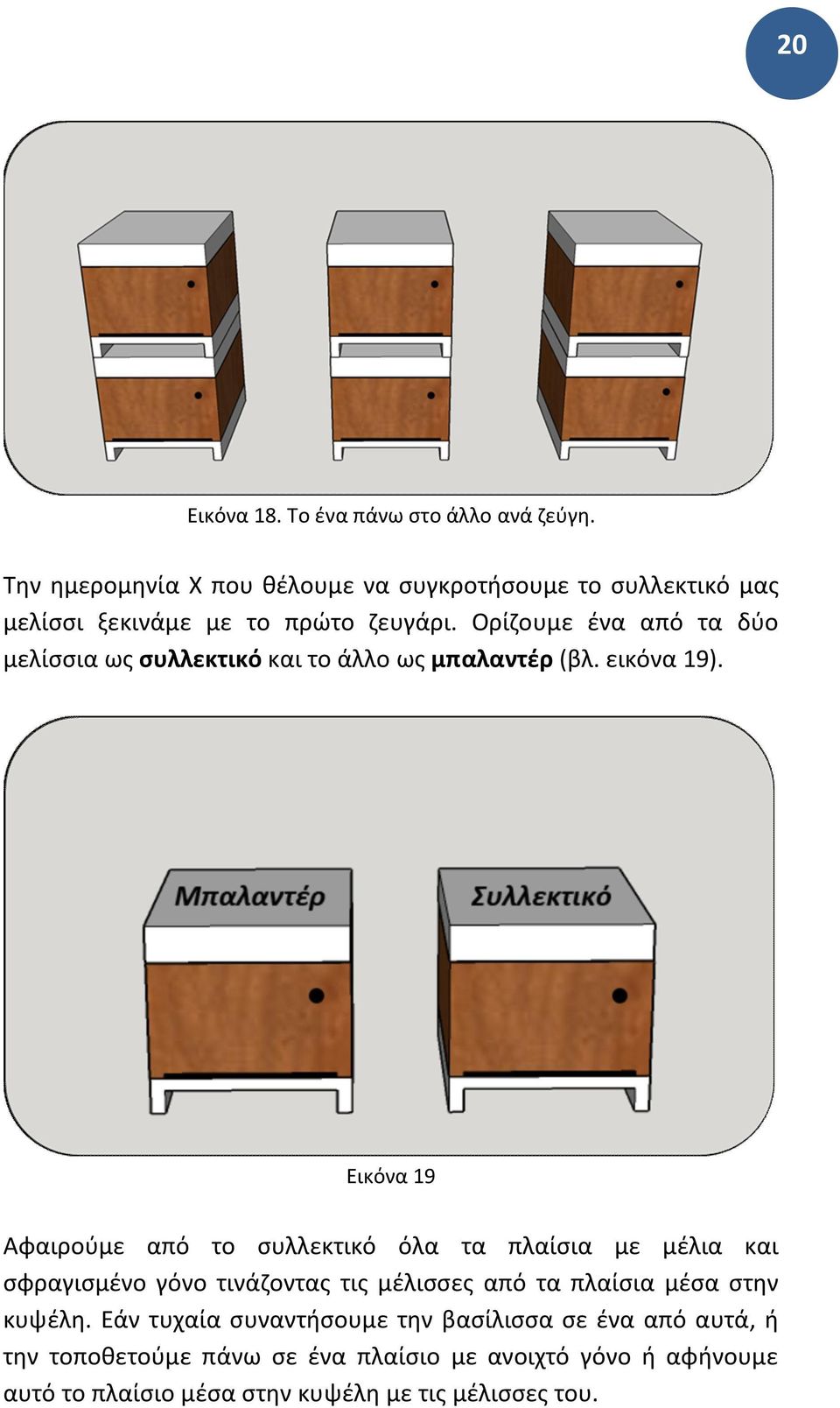 Ορίζουμε ένα από τα δύο μελίσσια ως συλλεκτικό και το άλλο ως μπαλαντέρ (βλ. εικόνα 19).