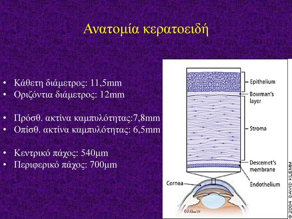 ακτίνα καμπυλότητας:7,8mm Οπίσθ.