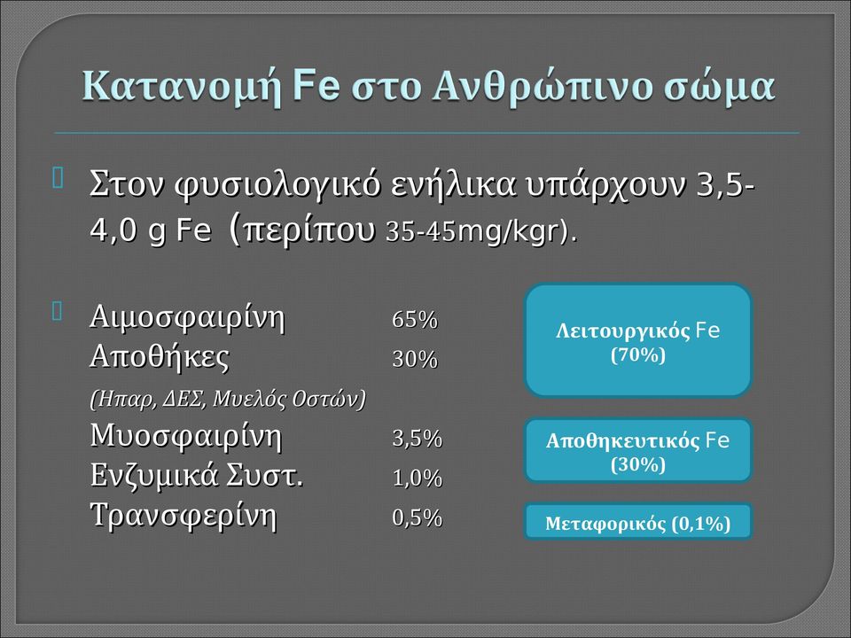 Αιμοσφαιρίνη Αποθήκες 65% Λειτουργικός Fe 30% (70%) 3,5%