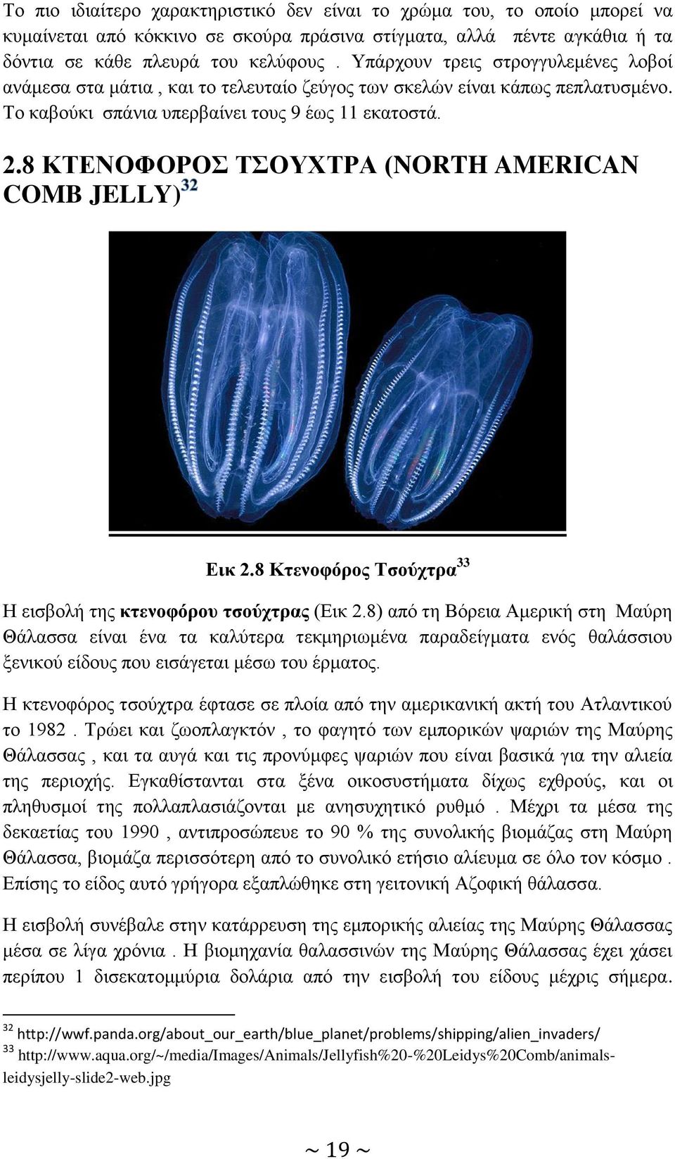 8 ΚΤΕΝΟΦΟΡΟΣ ΤΣΟΥΧΤΡΑ (NORTH AMERICAN COMB JELLY) Εικ 2.8 Κτενοφόρος Τσούχτρα 33 Η εισβολή της κτενοφόρου τσούχτρας (Εικ 2.