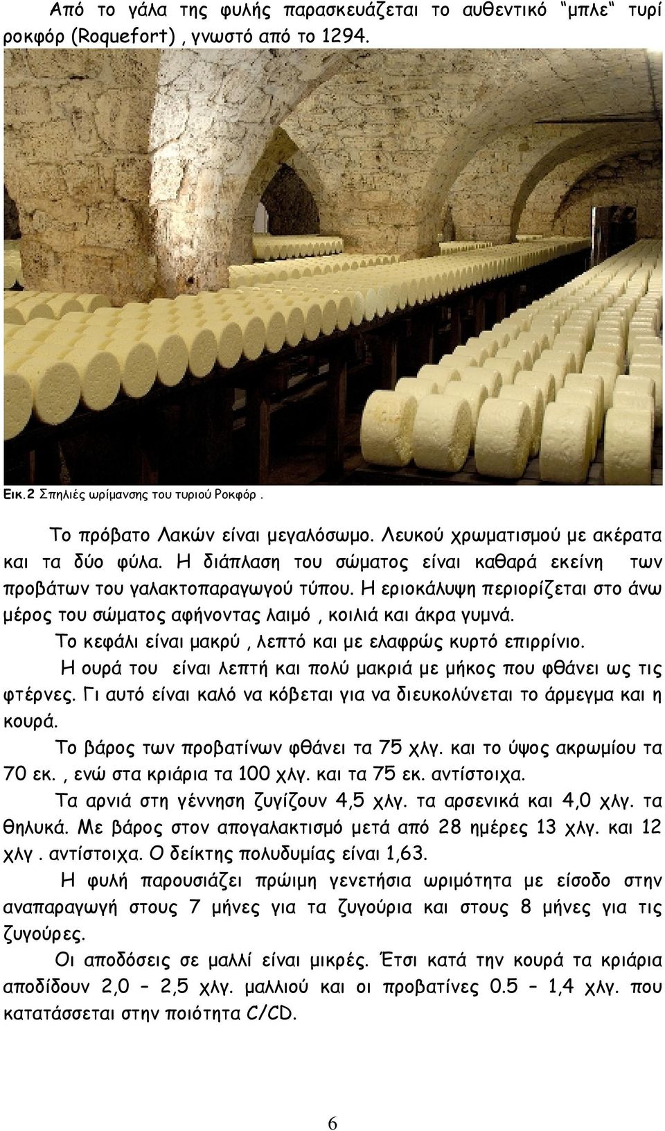 Η εριοκάλυψη περιορίζεται στο άνω μέρος του σώματος αφήνοντας λαιμό, κοιλιά και άκρα γυμνά. Το κεφάλι είναι μακρύ, λεπτό και με ελαφρώς κυρτό επιρρίνιο.