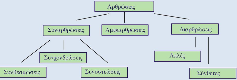 Συγχονδρώσεις Απλές