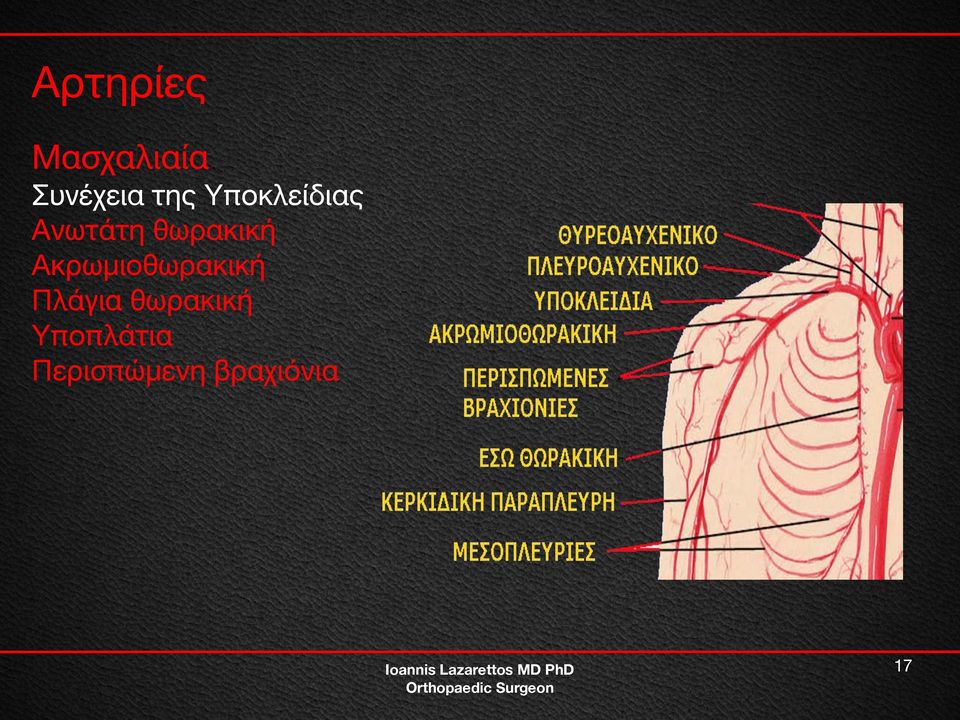 θωρακική Ακρωμιοθωρακική Πλάγια